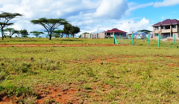 Best land for sale Nanyuki